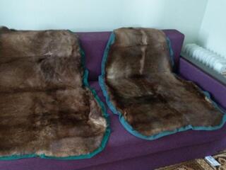 Шкурки оленя по 100 и 150 евро,голова 350 евро и