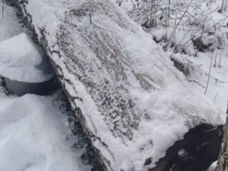 Vind nuc pentru material