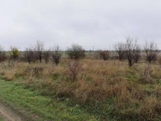 Продается участок 16 соток в 15 минут от моря. Вода и электричество ..