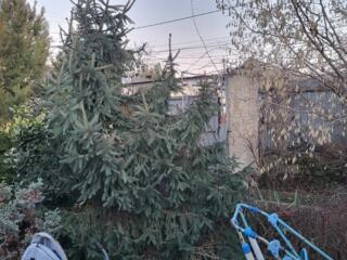 Дом на участке 5,14  соток Д.Ковалевского