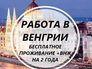 У нас есть работа в Венгрии