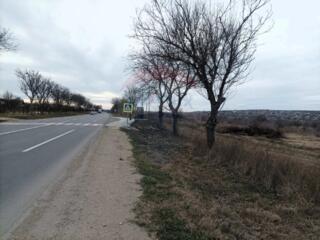 Teren Agricol 277 Ari – Locație Strategică, aproape de Grand Elysee, S