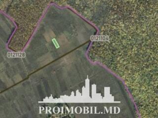 Spre vânzare se oferă teren pentru construcții, situat în Dumbrava. ..