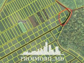 Spre vânzare se oferă teren pentru construcții, situat în Dumbrava. ..