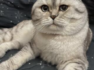 Вязка!!! 750р.