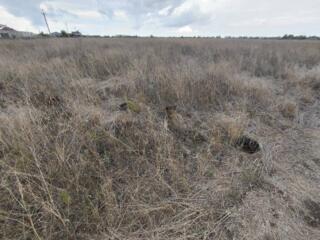 Продаётся участок в Фонтанке правильной формы в престижном районе. ...