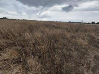 Продаётся участок в Фонтанке правильной формы в престижном районе. ...