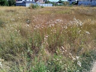 Продается земельный участок правильной прямоугольной формы площадью 6 