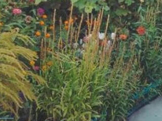 В продаже участок 6 соток ,возле озера!