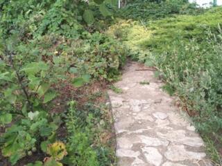 Участок 2,8 сотки, Царское село/Парниковая