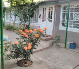 Продам дом в с.Красная Коса (70 км от Одессы)