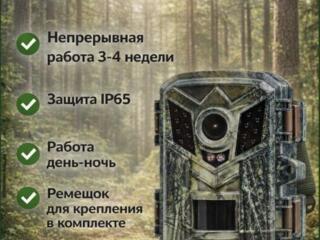 Фотоловушка DL-005