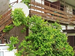 Продам дачу в центре Затоки. Возле моря.