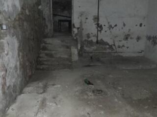 Подвальное помещение в аренду по хорошей цене