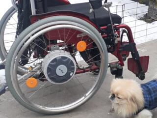 Электрическая инвалидная коляска!