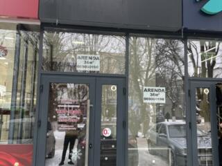 Сдам коммерческое помещение в центре Единцы