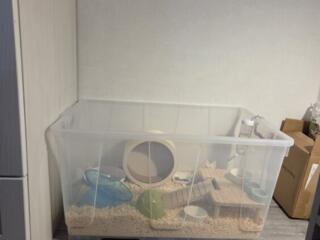 Продам контейнер 80литров. Без крышки.