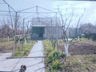 Продам дачу на Тилигульском лимане, с.Кордон (СМ "Тилигульский-12