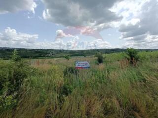 Teren Agricol în Comuna Trușeni – Investește în Viitorul Tău!