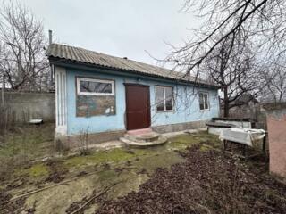 Ботаника, пер. Валентин Зарзэр.