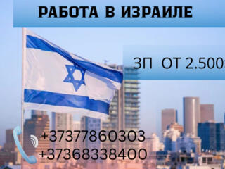 РАБОТА В ИЗРАИЛЕ