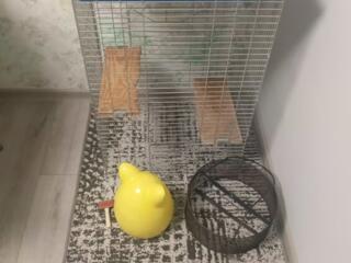 Продам клетку для шиншиллы