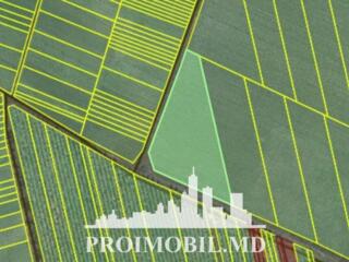 Spre vânzare se oferă teren agricol, situat în or. Ialoveni. ...