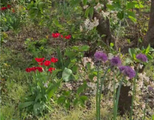 Продам участок 6 соток в селе Светлое, 5 км. от Одессы