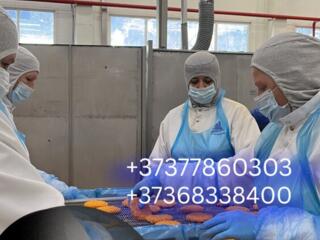 Работа в РОССИИ. Город ЗВЕНИГОРОД (ЗП 1300 $ / месяц)