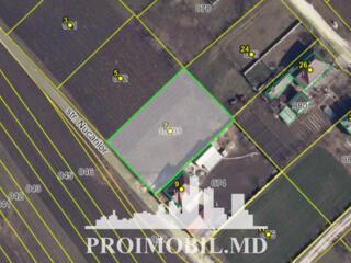 Spre vânzare se oferă teren pentru construcții, situat în r. ...