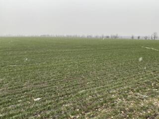 Продается участок 6 соток, расположенный в экологически чистом ...