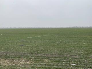 Продается участок 6 соток, расположенный в экологически чистом ...