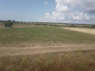 В продаже участок 25 соток земли в селе Дальник, Одесского района ...