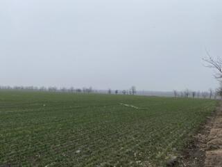 Продается участок в селе Красноселка, Одесского района. Участок ...