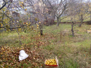 Продаётся в  с. Нерубайское  р-н Нати  участок 8 соток с коробкой ...