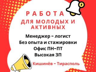 Менеджер по транспортно-экспедиторской деятельности