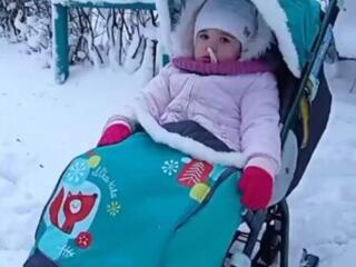 Санки коляска 2в1