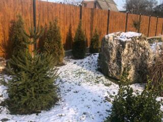 Продажа участка. Мерешешты. СОТ "Лесовик"