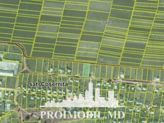 Spre vânzare se oferă teren pentru construcții, situat în sat. ...