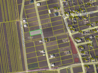 Teren 10 Ari ORHEI, Step-Soci