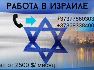 РАБОТА В ИЗРАИЛЕ ПО БИО ПАСПОРТУ