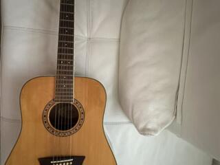 Гитара Washburn, 12-ти струнная