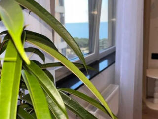 1ком.квартира -видовая ЖК 48 Жемчужина- Каманина