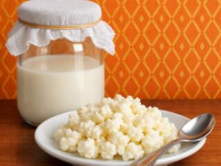 Молочный гриб (băutură fermentată seamănă la gust cu chefirul)