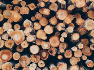 Продам дрова фруктовых деревьев