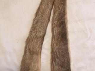 Горжетка нутрия