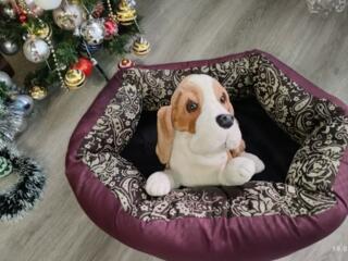 Диван и пуфик для кошки, собаки- состояние идеальное