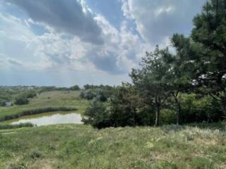 Предлагается к продаже участок в селе Дачное. Площадью 14 соток. ...