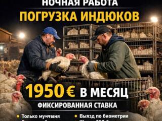 ГЕРМАНИЯ| РАБОТА ДЛЯ МУЖЧИН