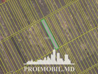 Spre vânzare se oferă teren agricol, situat în Durlești, Poiana ...